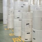 tissue parent roll